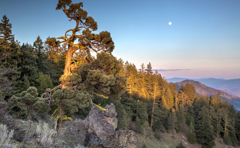 Our Treasure, Our Future – Cascade Siskiyou National Monument